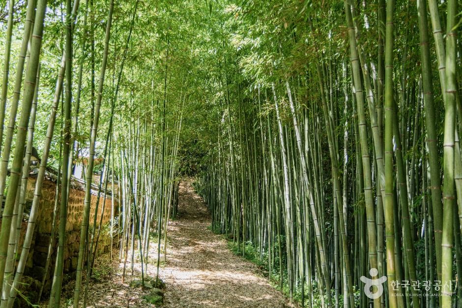 강진 백운동별서정원