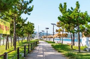 경주_나정고운모래해변 (1)