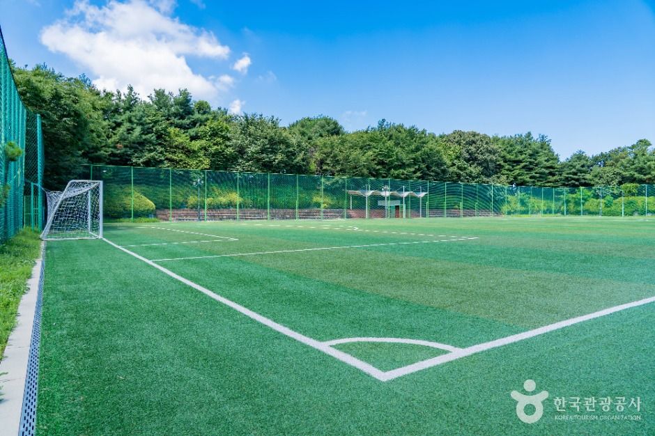 thumbnail-하길체육공원-0