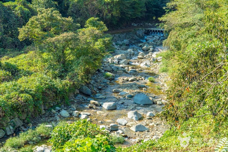 thumbnail-고운동계곡-6