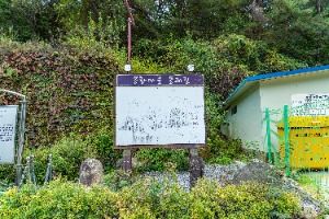 평창_봉황둘레길 (1)