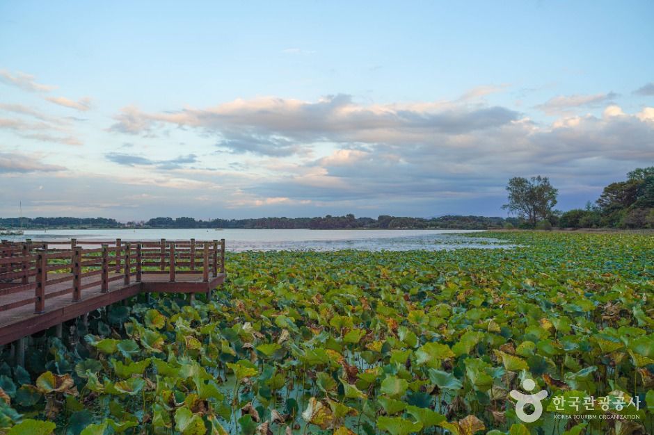 김제_능제저수지 (3)