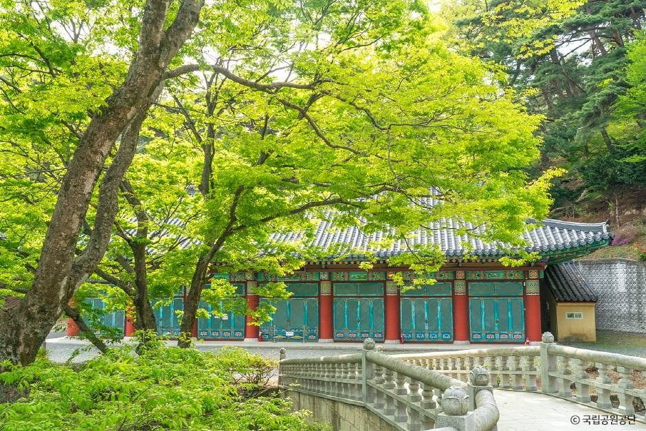 thumbnail-파계사-20