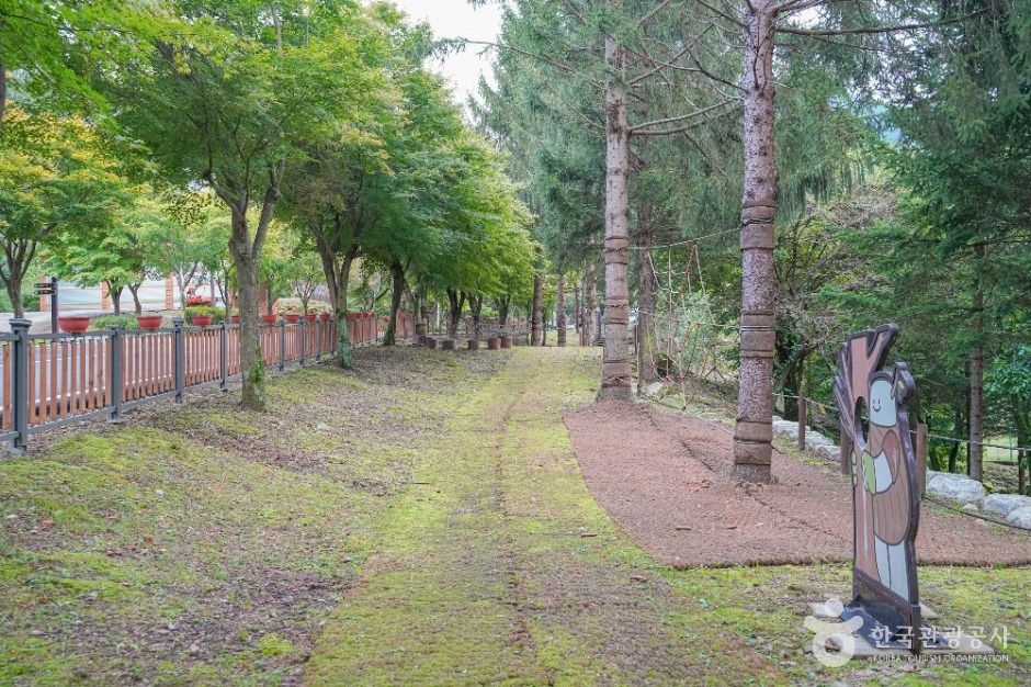 thumbnail-와룡자연휴양림-6