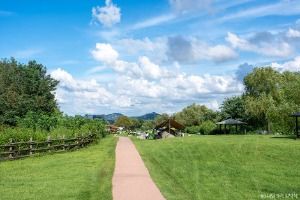 노을캠핑장(서울)