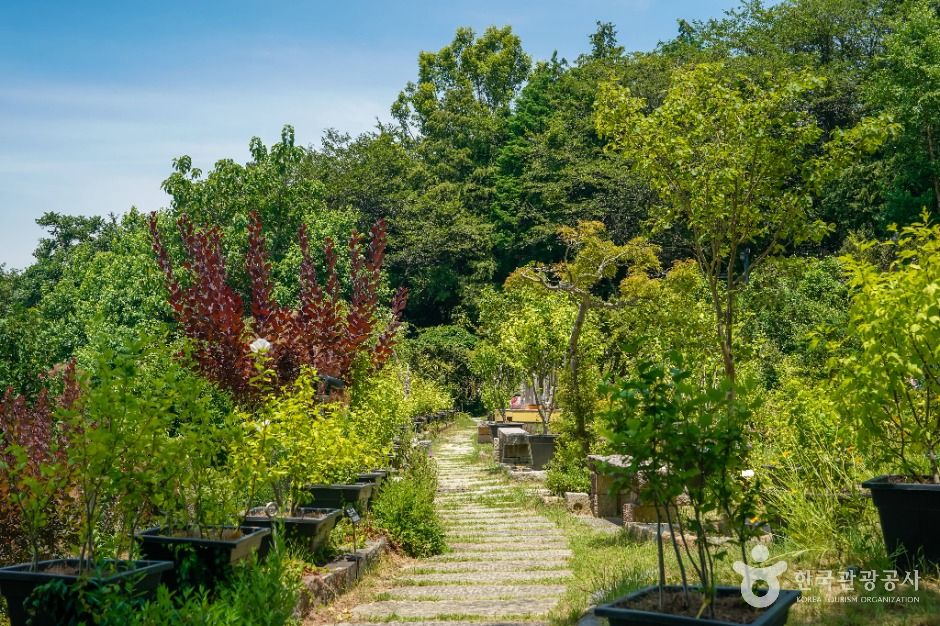 창원_진해보타닉뮤지엄 (5)