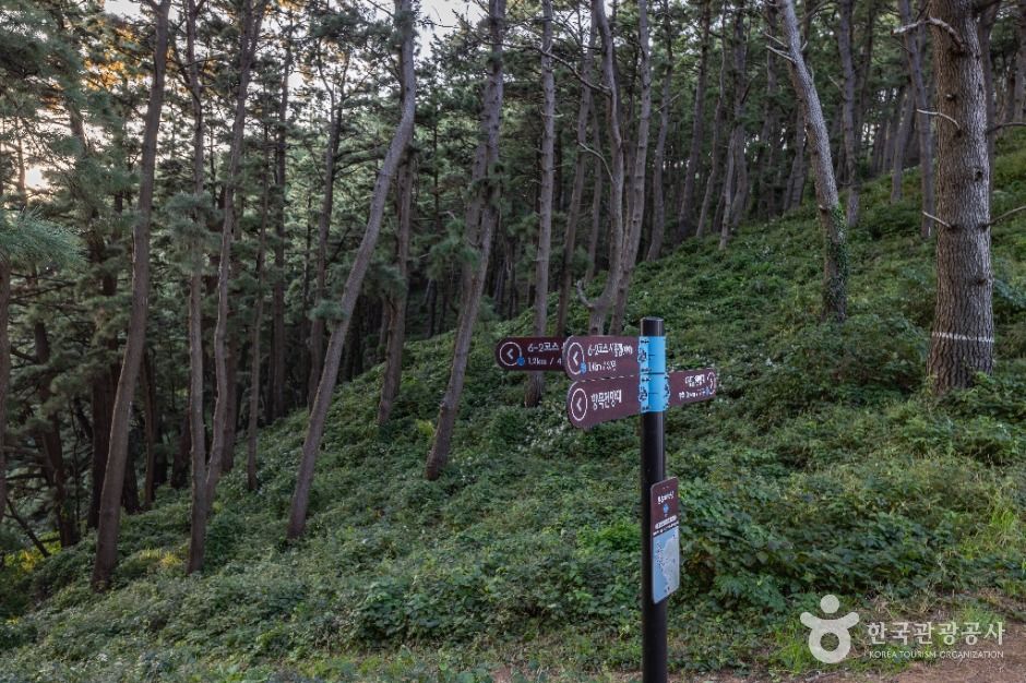 태하 해안산책로 및 대풍감 (울릉도, 독도 국가지질공원)