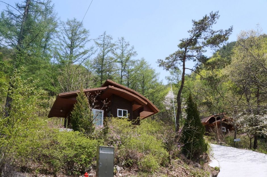 국립속리산말티재자연휴양림