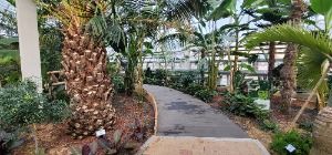 제천_아열대 스마트 온실 (1)