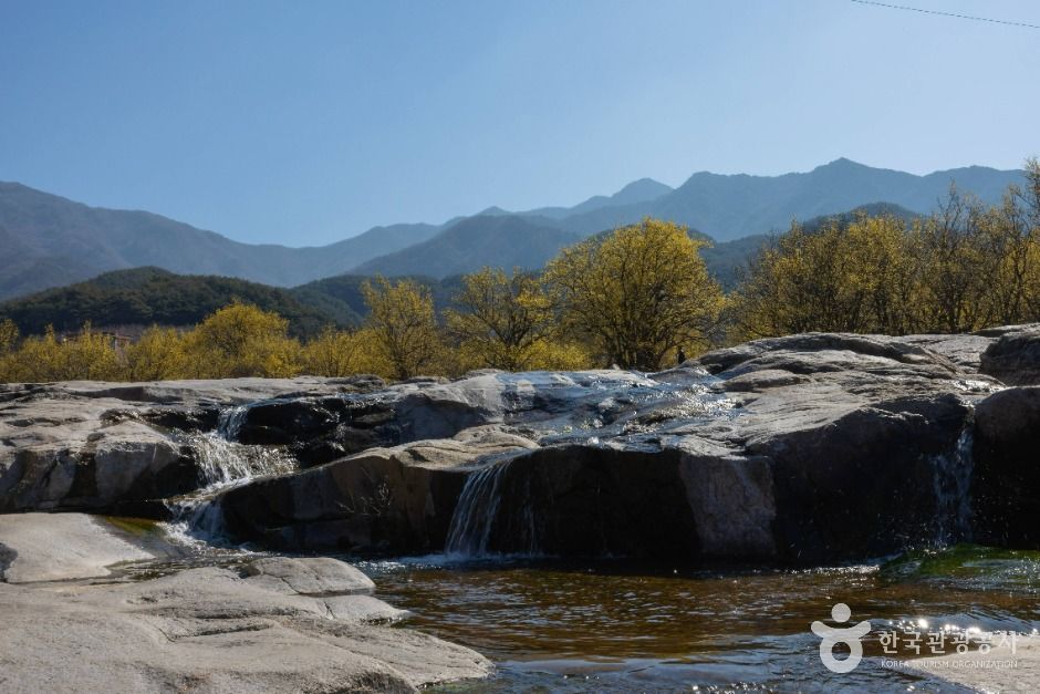 구례 산수유마을