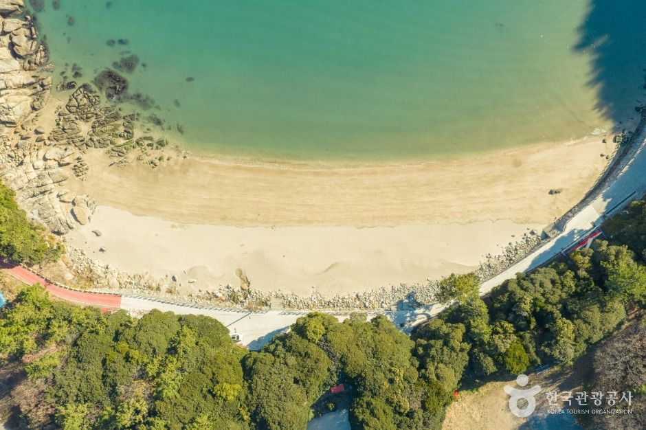 완도_가사동백숲해변 (5)