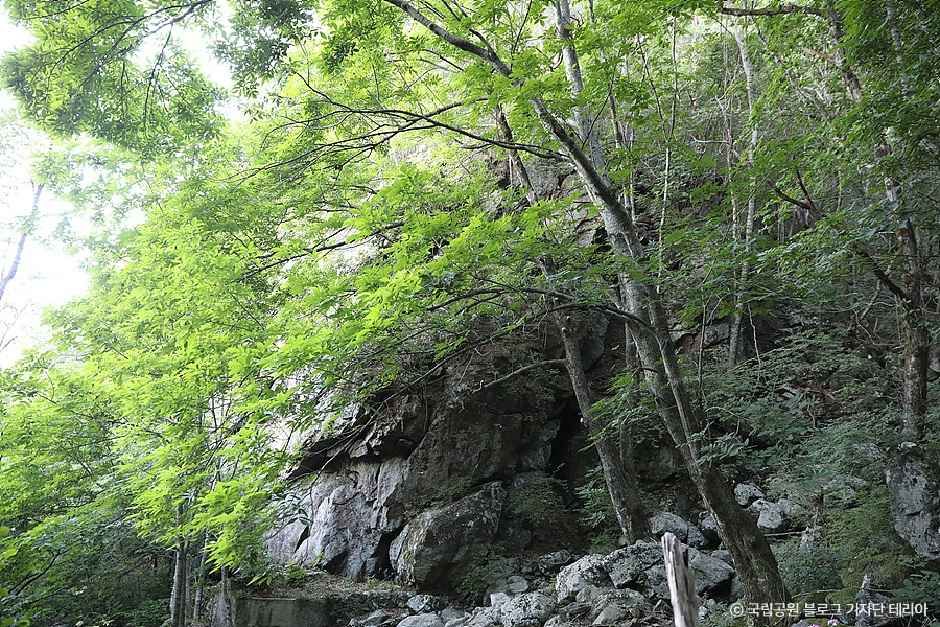 thumbnail-지리산국립공원(함양)-3