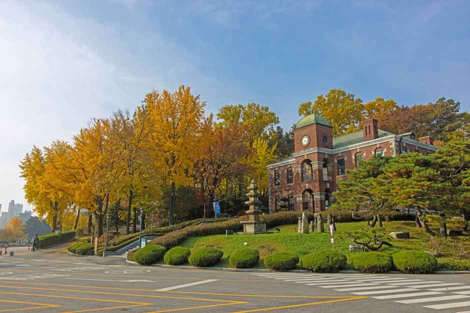 thumbnail-건국대학교 박물관-11