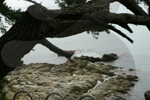 송정 죽도공원8