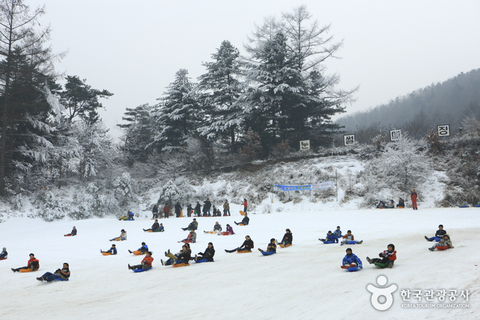 Pista para Trineos de Hanhwa Resort en Yangpyeong (양평한화리조트 눈썰매장)