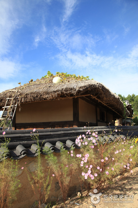 Yeongju Museom Village (영주 무섬마을)