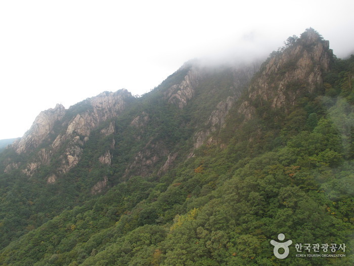 Seorak Sogongwon Cable Car Tour (설악 케이블카)