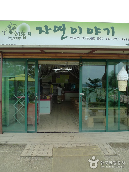 양평 두물머리 사진16