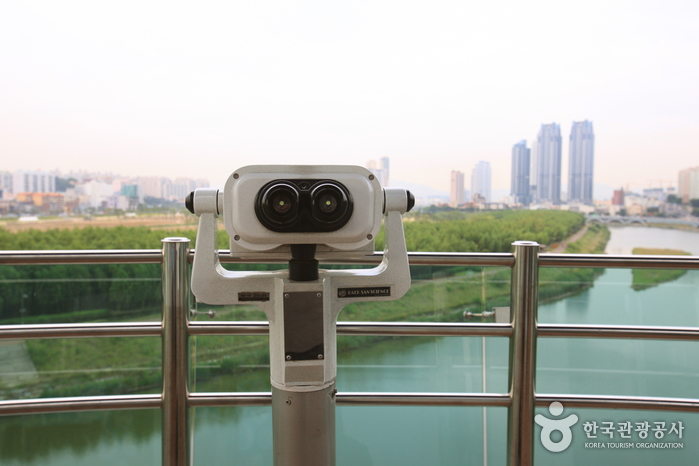 태화강 전망대7