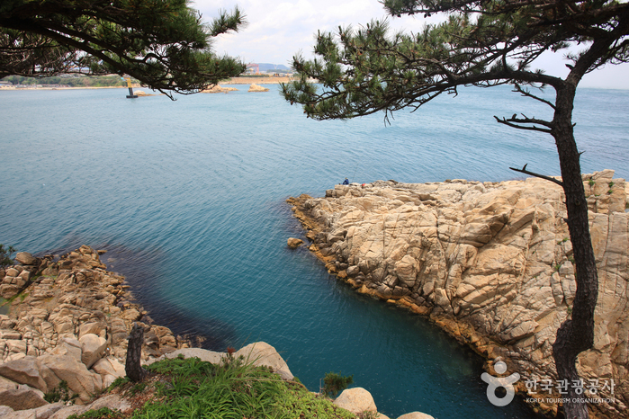 Daewangam Park (대왕암공원)