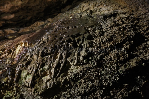 Hwanseongul Cave (환선굴(대이리군립공원))