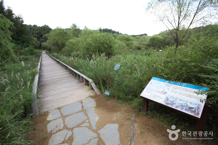 Gildong Ecological Park (길동생태공원)