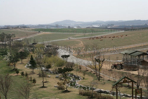 Agroland Taeshin Farm (아그로랜드 태신목장)