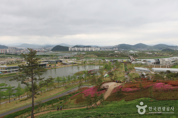 顺天湾国家庭园순천만 국가정원3