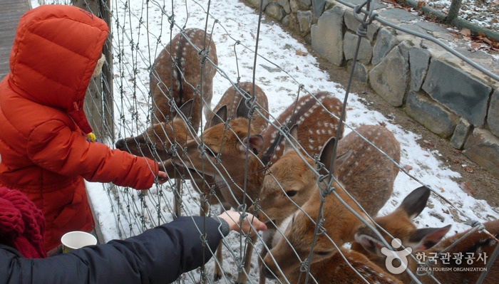 thumbnail-Seoul Forest (서울숲)-2