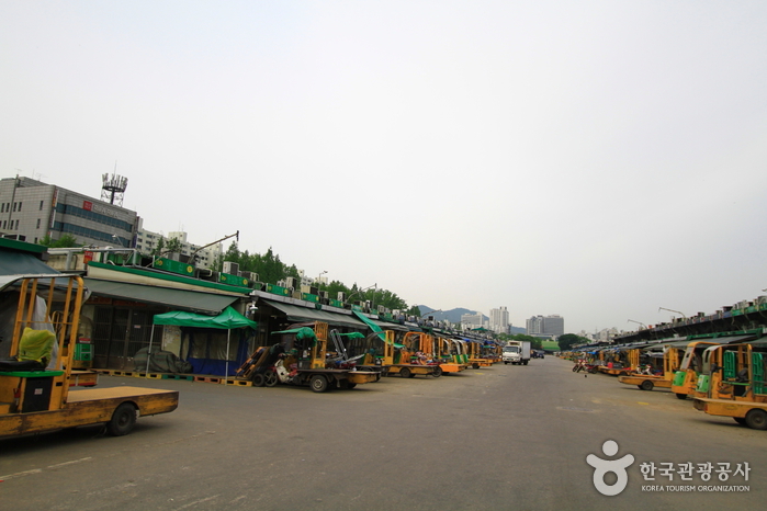 Le marché de Garak (Marché de gros des produits agricoles et marins) 가락시장 (가락동 농수축산물시장)