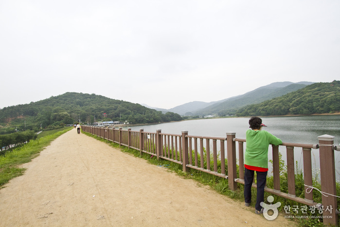 백운호수와 둘레길 산책로