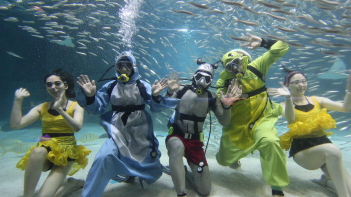 COEX水族館(코엑스 아쿠아리움)