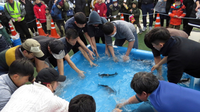 양주송어축제 20191