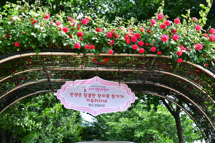 Festival des roses de Séoul (서울장미축제 2020)