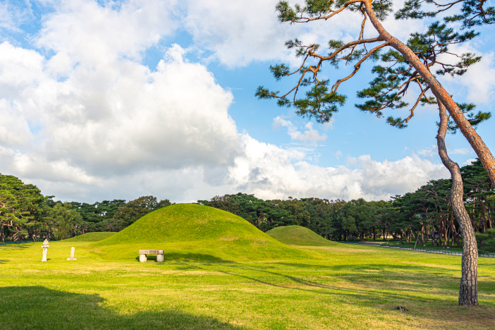 Oreung Tombs are known as the tombs of King Park Hyeokgeose.
