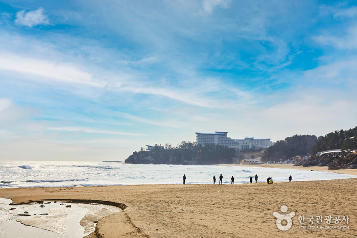 삼양라운드힐 (구, 대관령 삼양목장)8