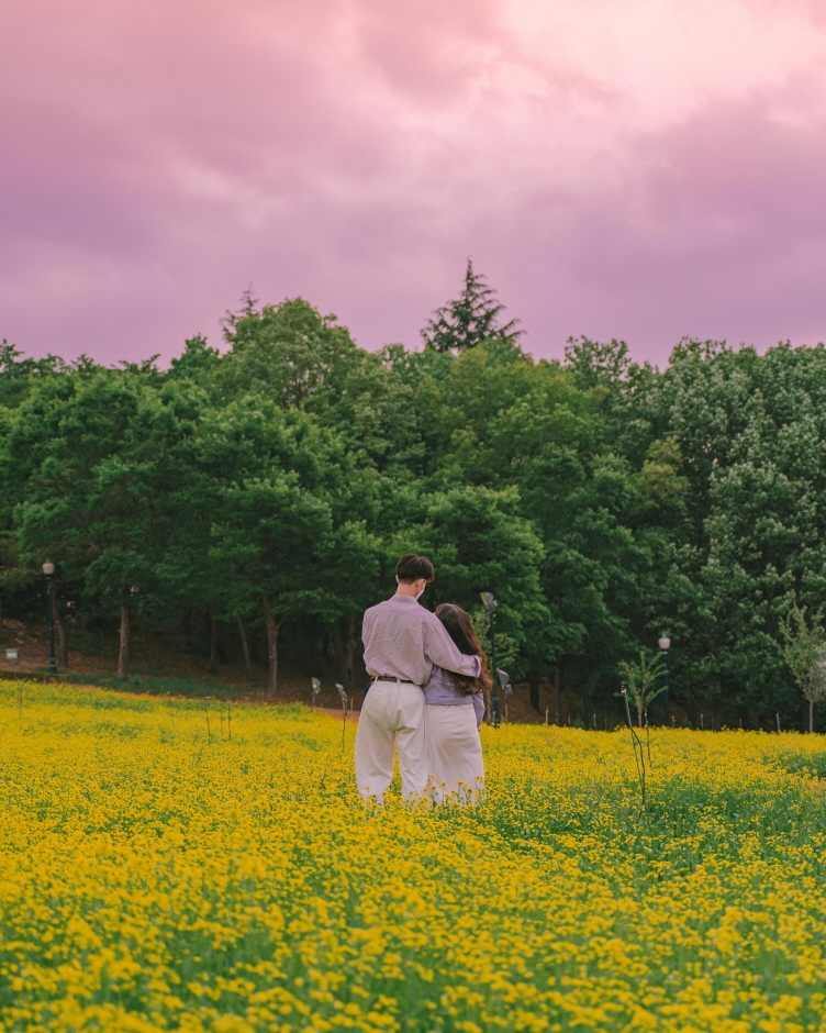 이월드 유채한 봄3