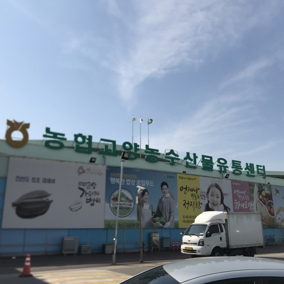 Nonghyup Hanaro Distribution Center - Ilsan Branch [Tax Refund Shop] (고양농협유통센터 일산)