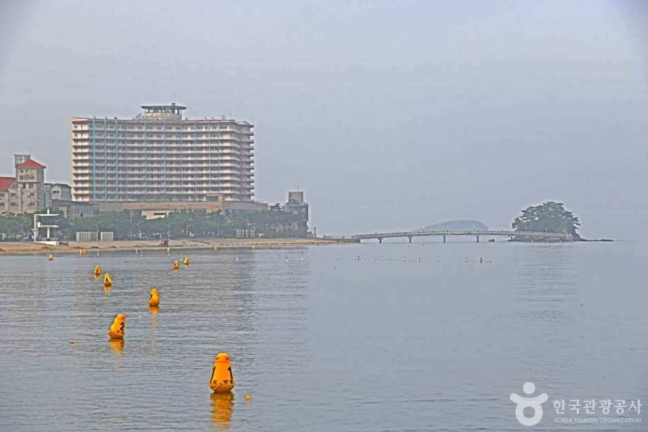 보령 해수욕장 관광특구