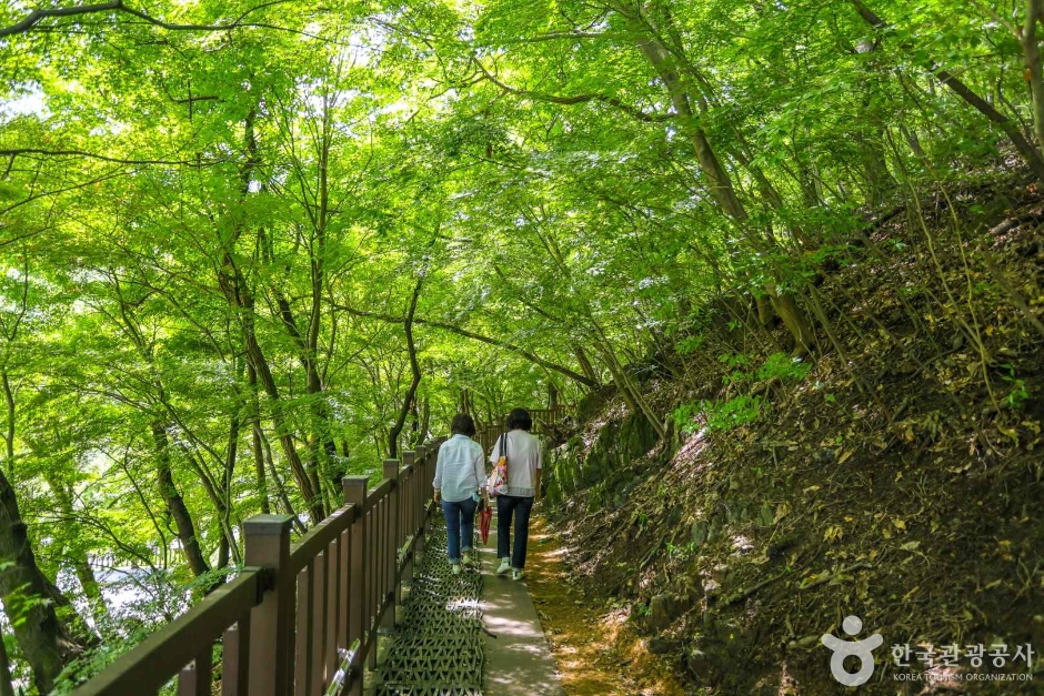 세천유원지 (5)