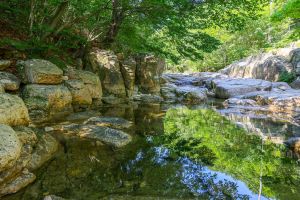 울산울주_내원암 계곡 (4)