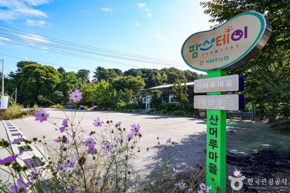 파주 산머루마을