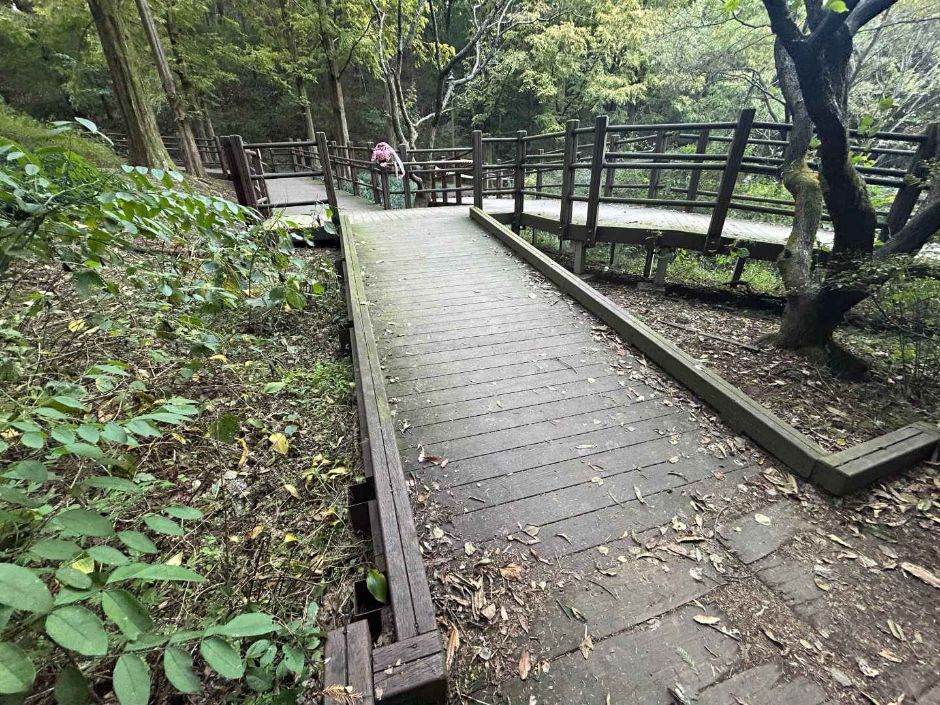 인천대공원 치유숲길