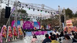 2025 여주흥천남한강 벚꽃축제 4