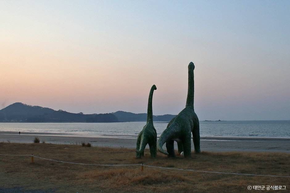 신두리해수욕장