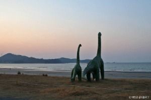 태안_신두리해수욕장 (1)