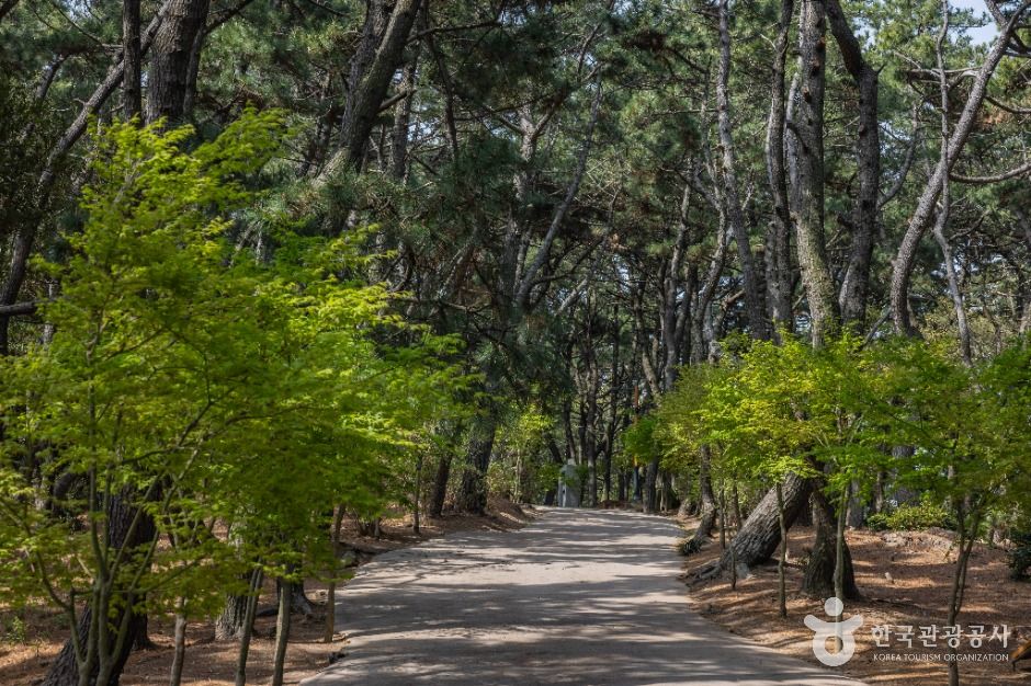 부산 암남공원