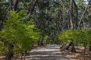 부산_부산 암남공원 (11)