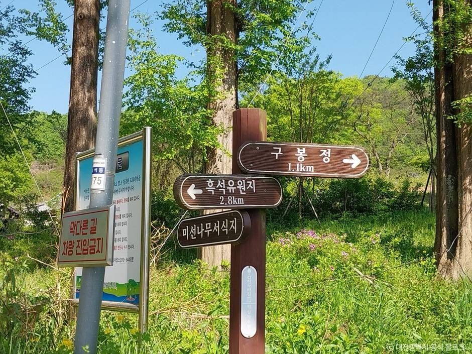 구봉산(대전)