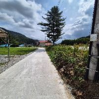 원주_구학산채관광마을 희망캠핑장 (3)